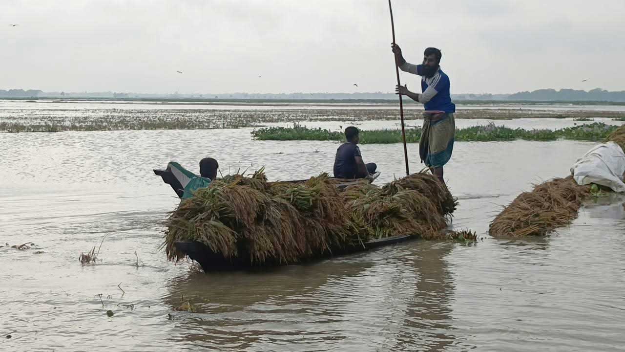 agribarta